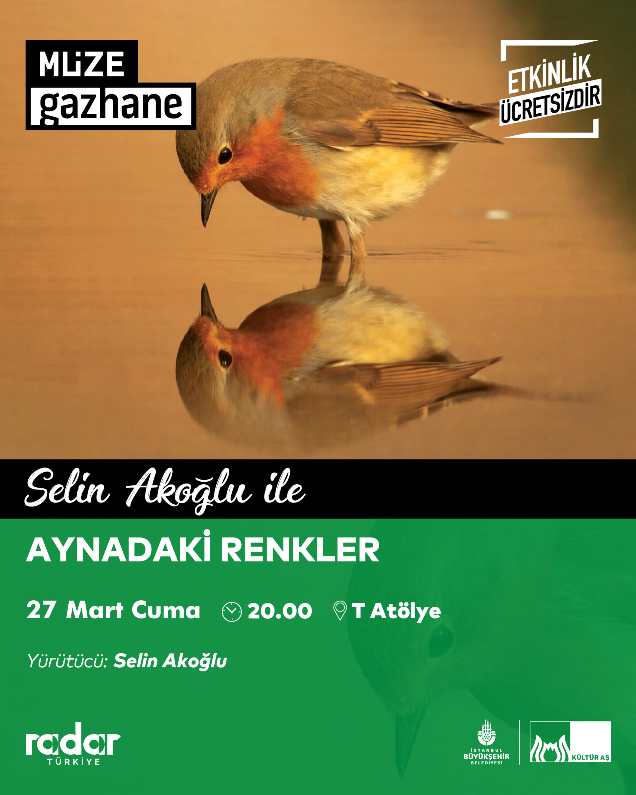 Aynadaki Renkler