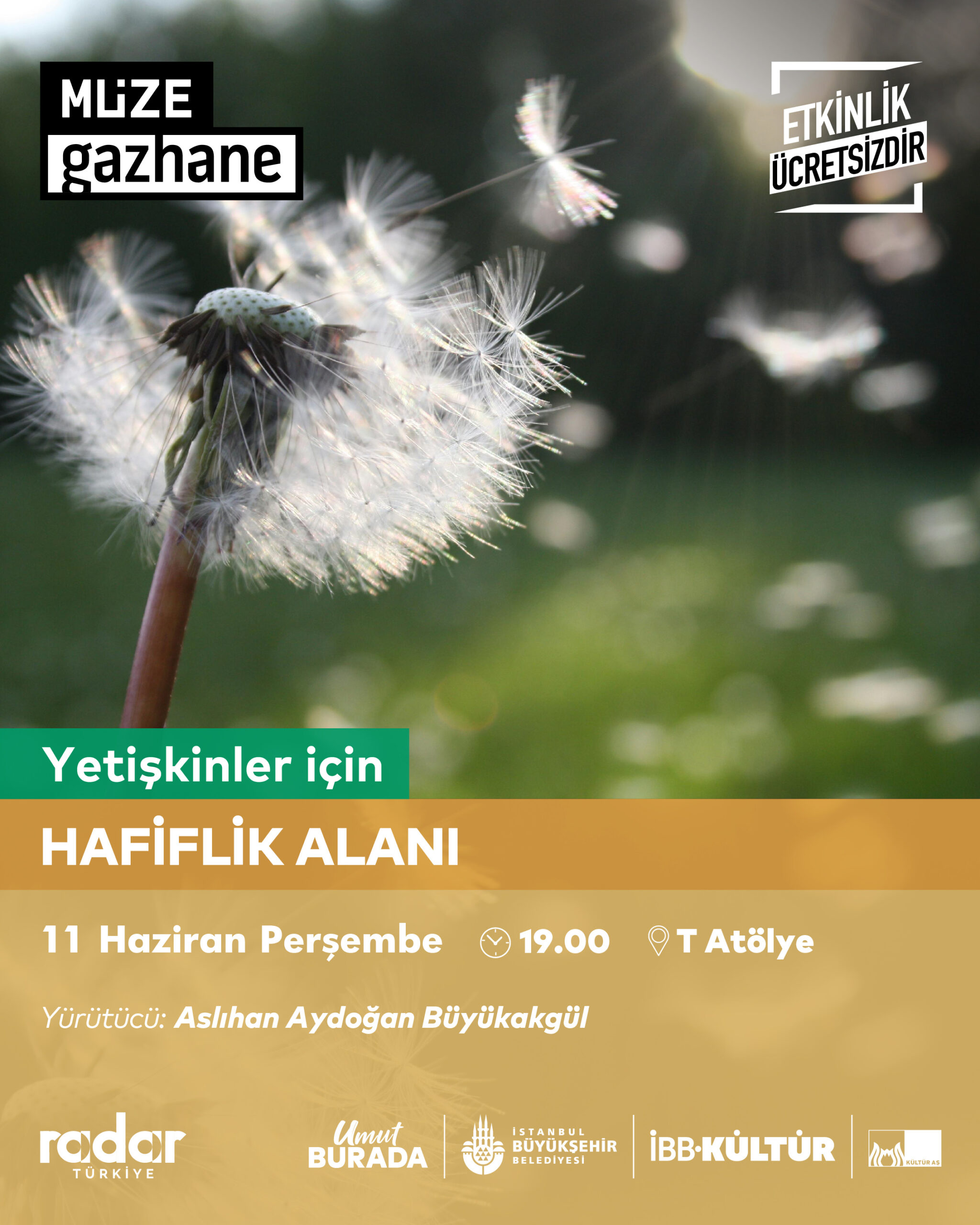 Hafiflik Alanı